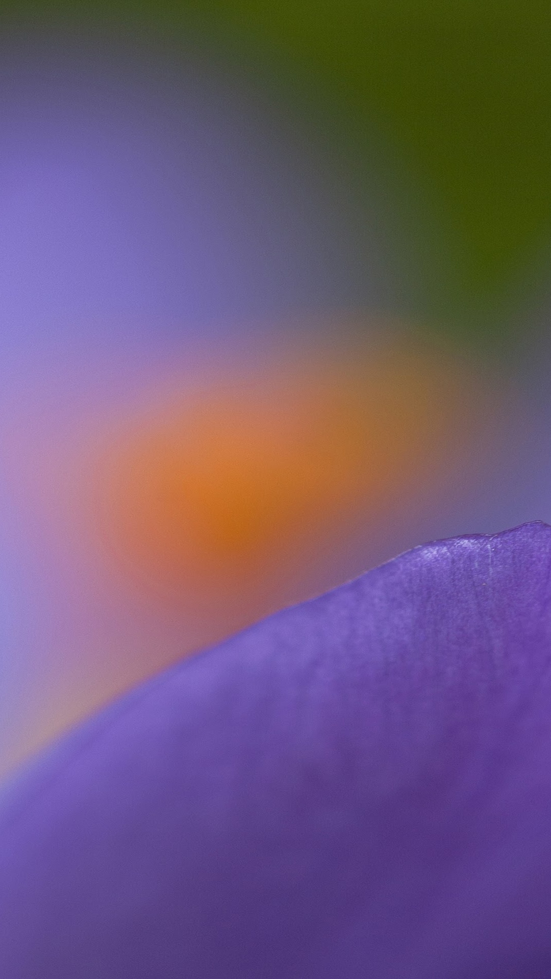 Обои Нокиа 8, Нокиа 6, нокиа е61, нокиа 6100, Nokia в разрешении 1080x1920