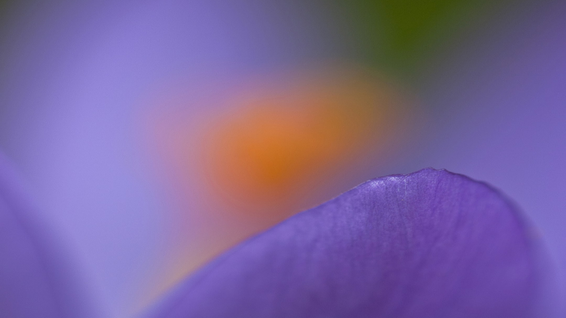 Обои Нокиа 8, Нокиа 6, нокиа е61, нокиа 6100, Nokia в разрешении 1920x1080