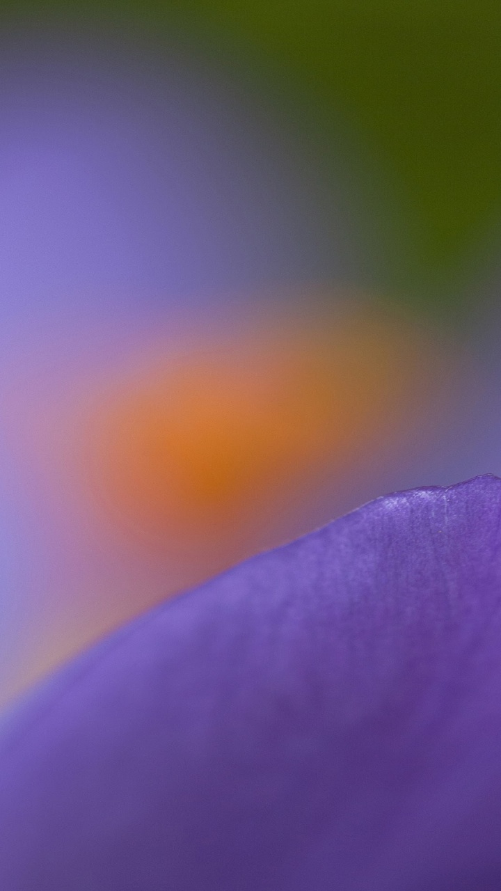 Обои Нокиа 8, Нокиа 6, нокиа е61, нокиа 6100, Nokia в разрешении 720x1280