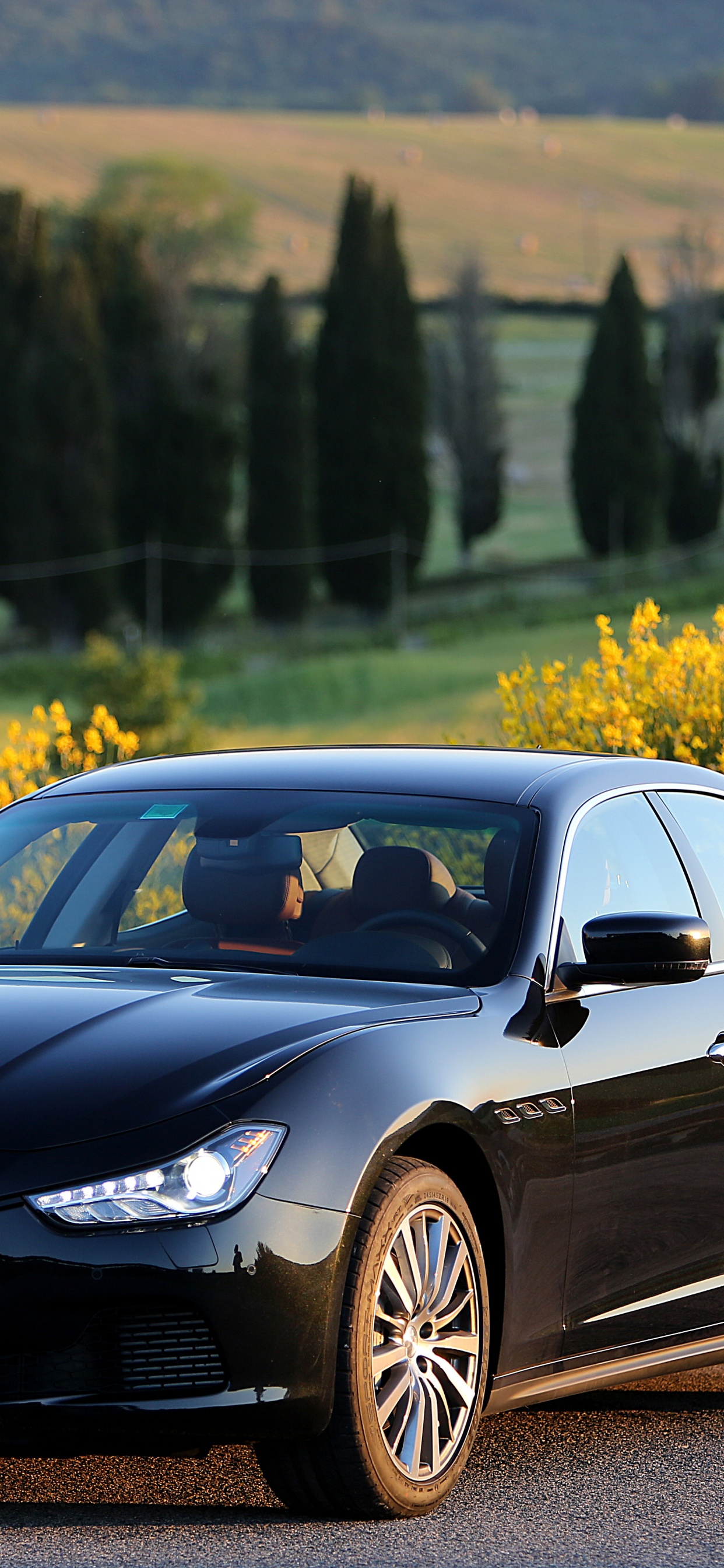 Обои Мазерати гибли 2014, Мазерати Гибли, Мазерати, maserati quattroporte, авто в разрешении 1242x2688