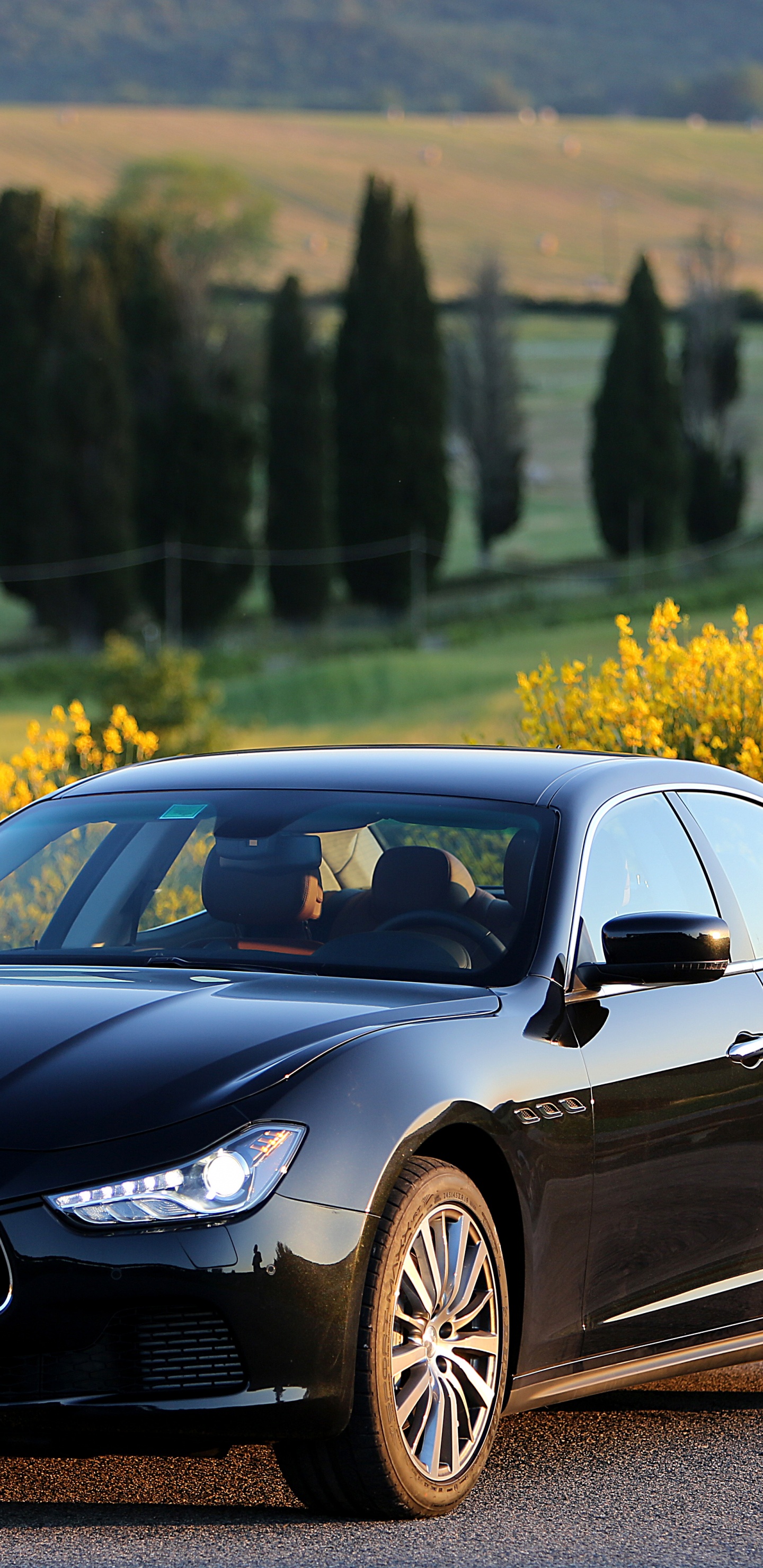 Обои Мазерати гибли 2014, Мазерати Гибли, Мазерати, maserati quattroporte, авто в разрешении 1440x2960