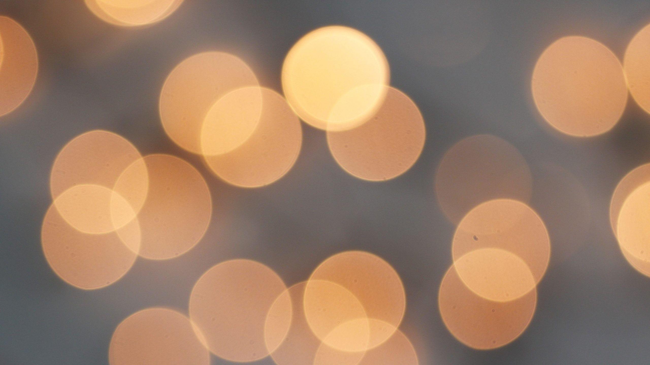 Обои сияние, свет, боке, круг, освещение в разрешении 2560x1440
