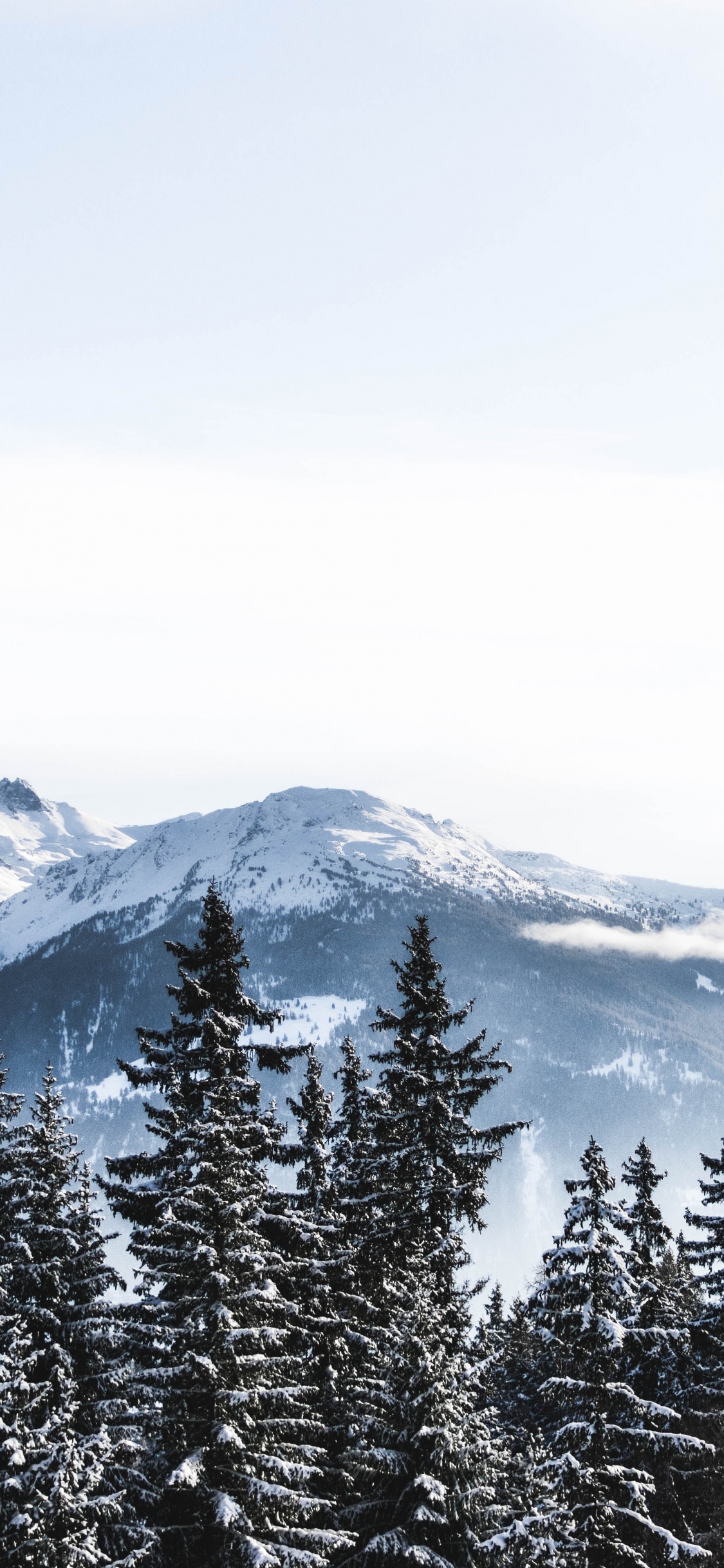 Обои Швейцария, снег, зима, гора, горный рельеф в разрешении 1125x2436