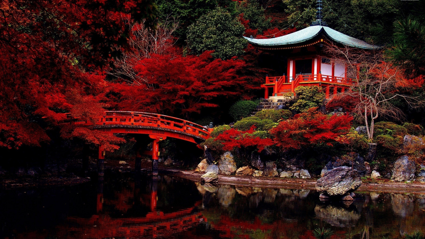 Обои Япония, природа, дерево, китайская архитектура, отражение в разрешении 1366x768