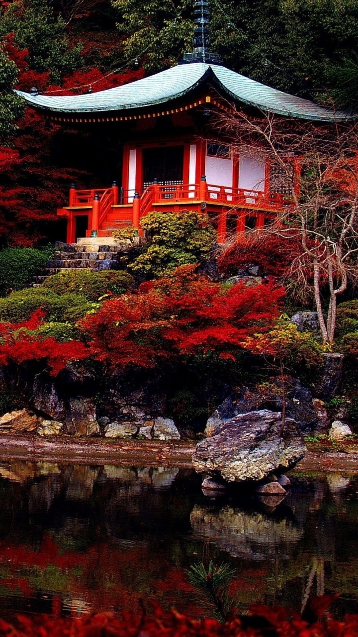 Обои Япония, природа, дерево, китайская архитектура, отражение в разрешении 720x1280