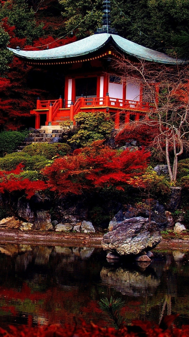 Обои Япония, природа, дерево, китайская архитектура, отражение в разрешении 750x1334