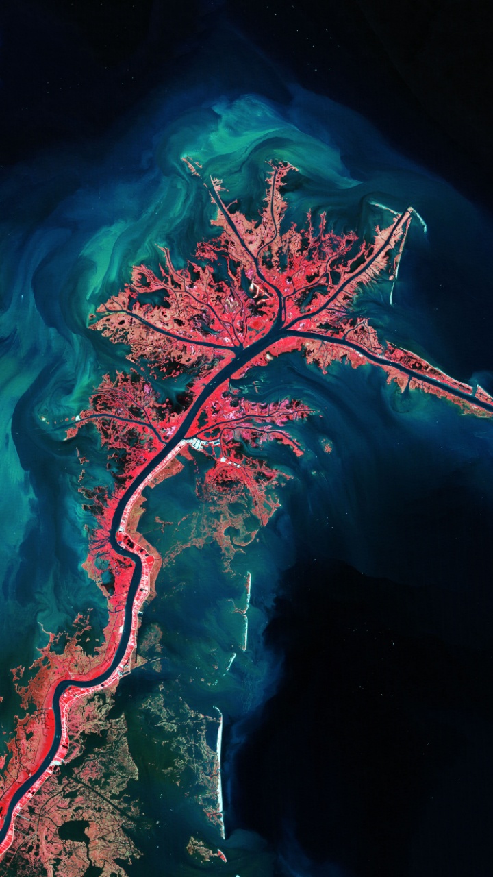 Обои дельта реки Миссисипи, земля, река Миссисипи, вода, растение в разрешении 720x1280