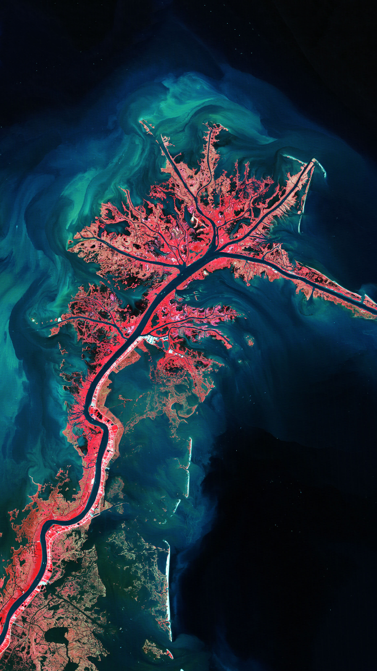 Обои дельта реки Миссисипи, земля, река Миссисипи, вода, растение в разрешении 750x1334