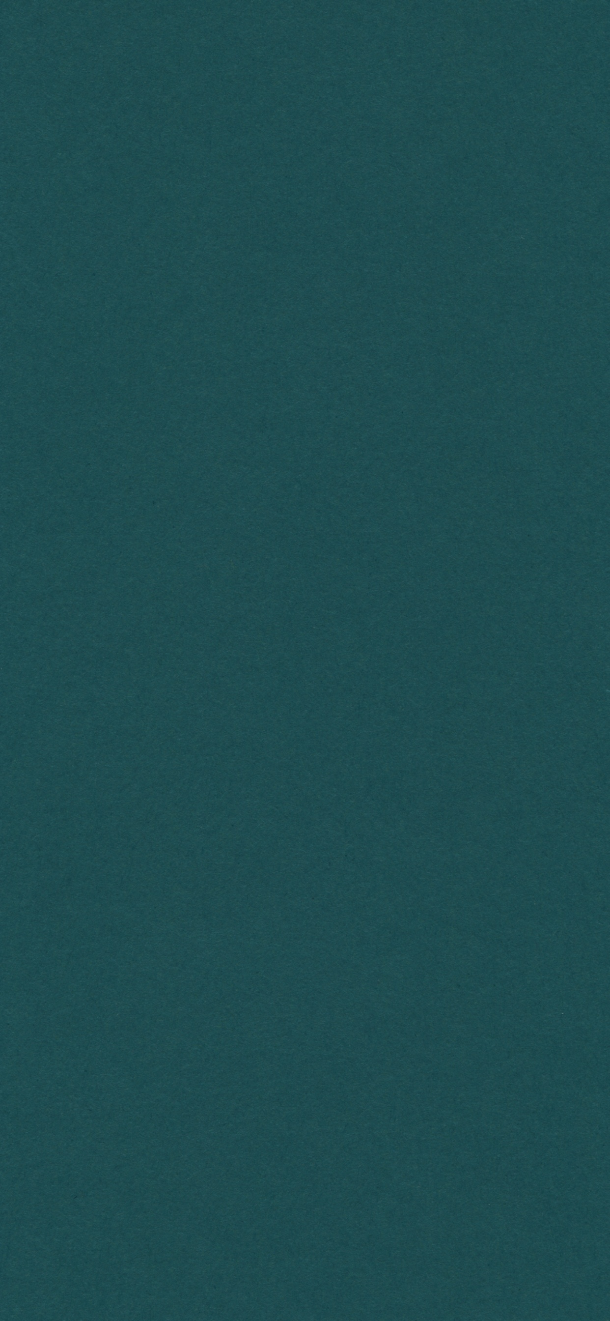 Обои синий, зеленый, Аква, бирюза, чирок в разрешении 1242x2688