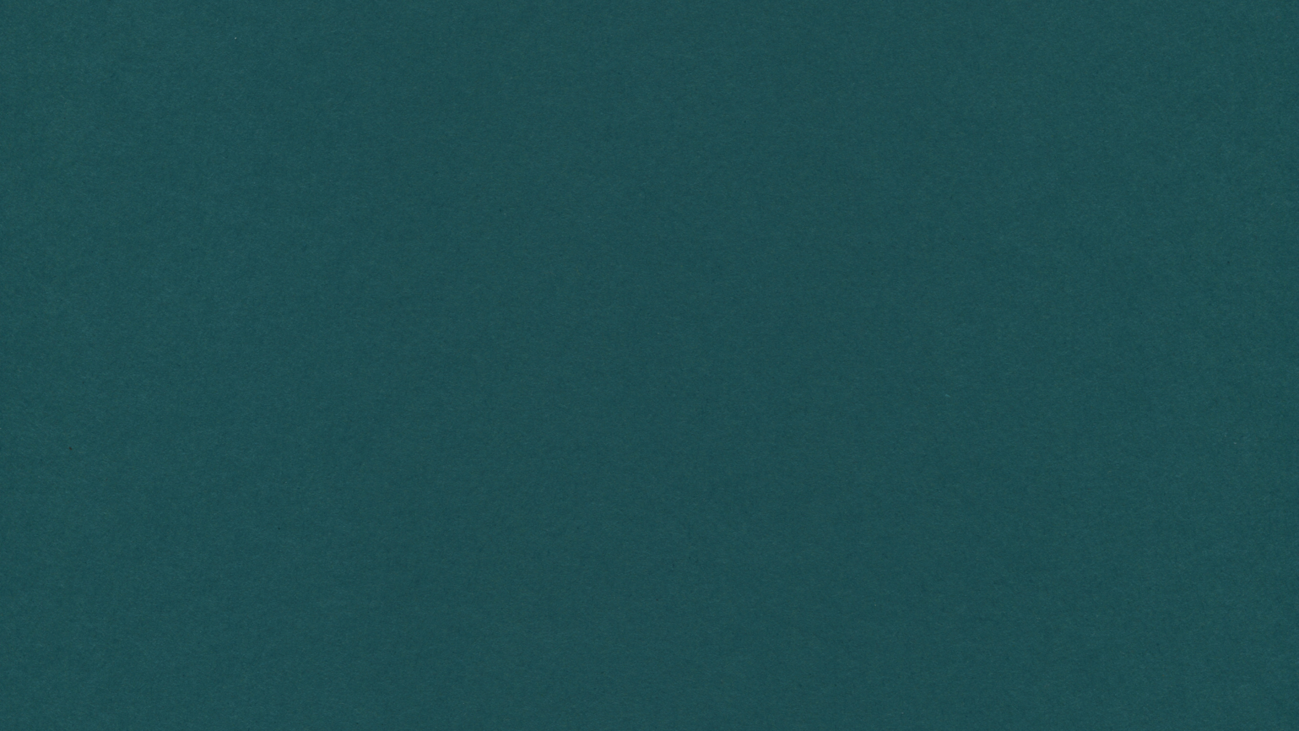 Обои синий, зеленый, Аква, бирюза, чирок в разрешении 2560x1440