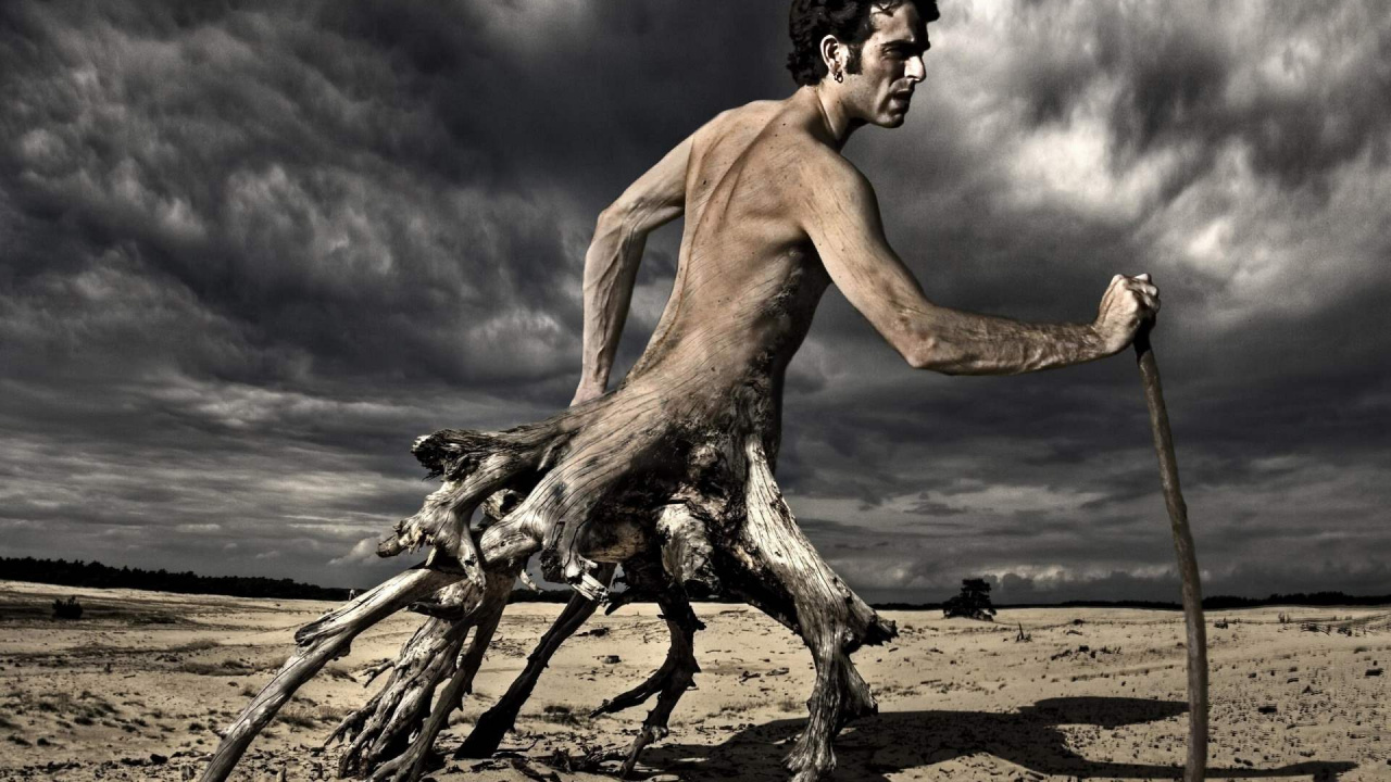 Обои лицо, облако, Люди в природе, природа, древесина в разрешении 1280x720