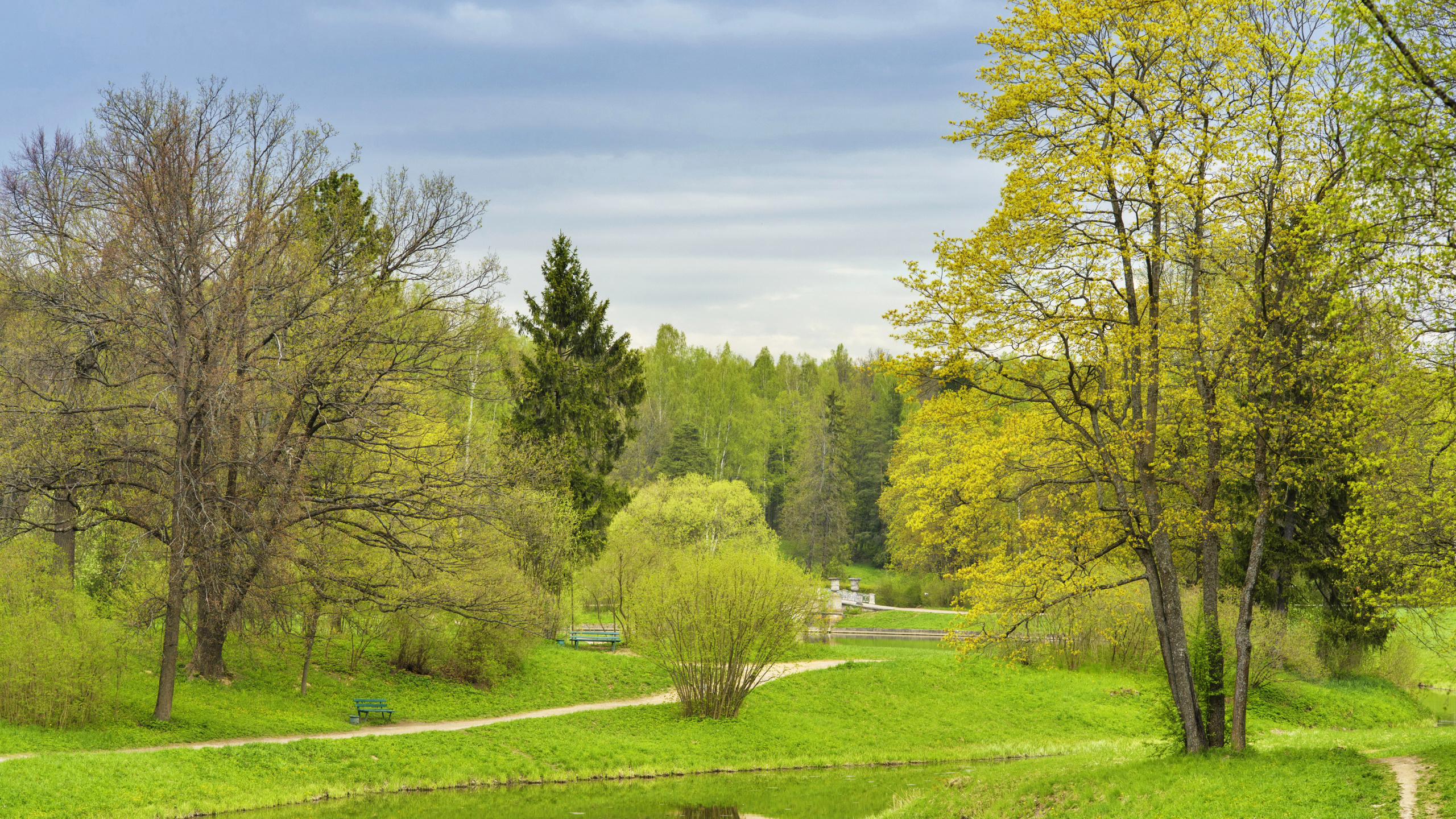 Обои природа, дерево, природный заповедник, экосистема, Государственный Музей-Заповедник в разрешении 2560x1440
