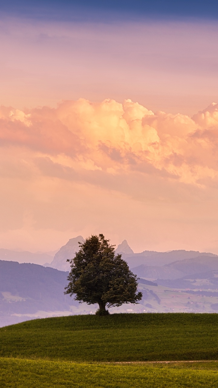 Обои природа, облако, сенокосное угодье, пастбище, утро в разрешении 720x1280