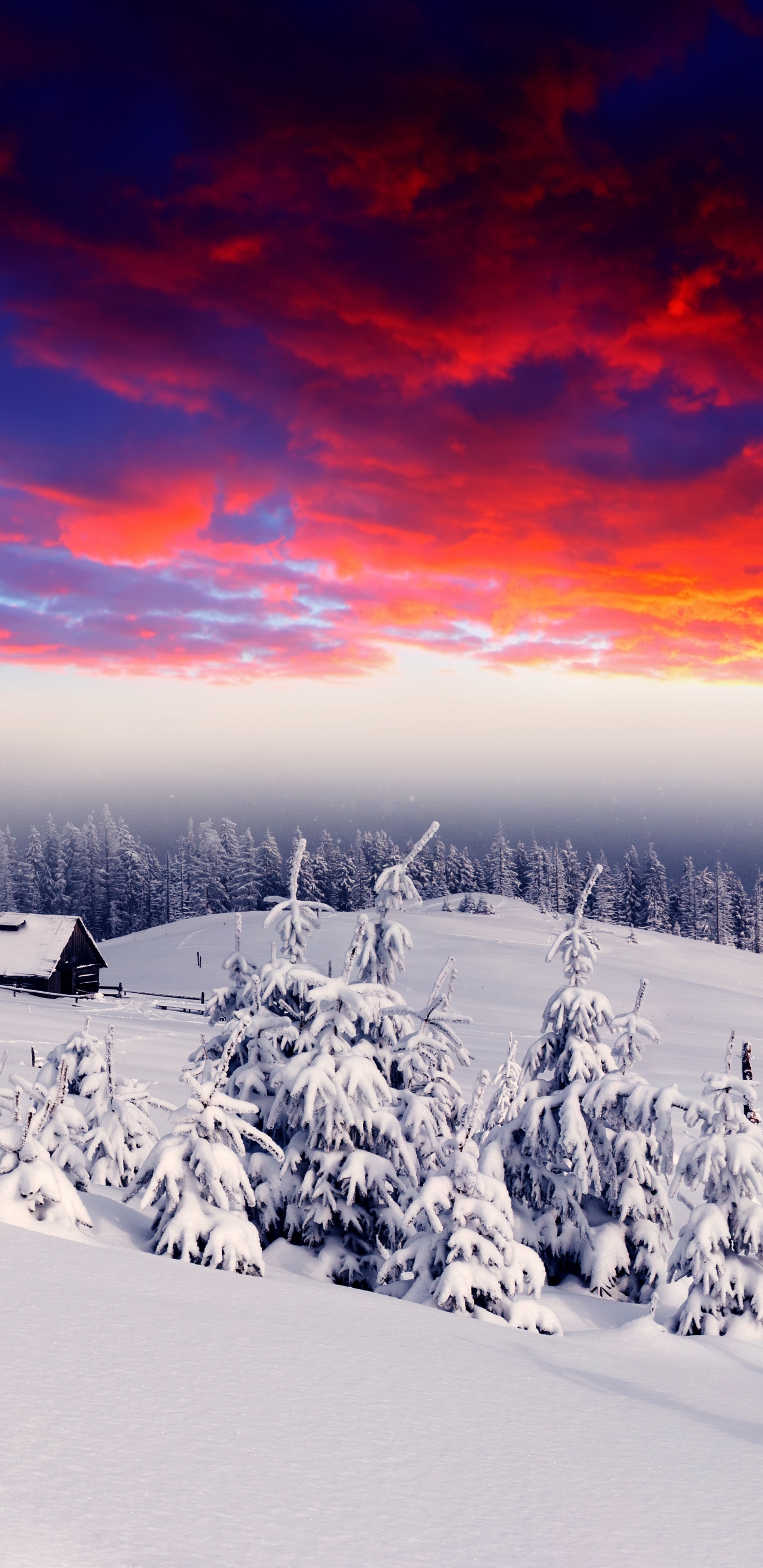 Обои снег, зима, природа, облако, замораживание в разрешении 1440x2960