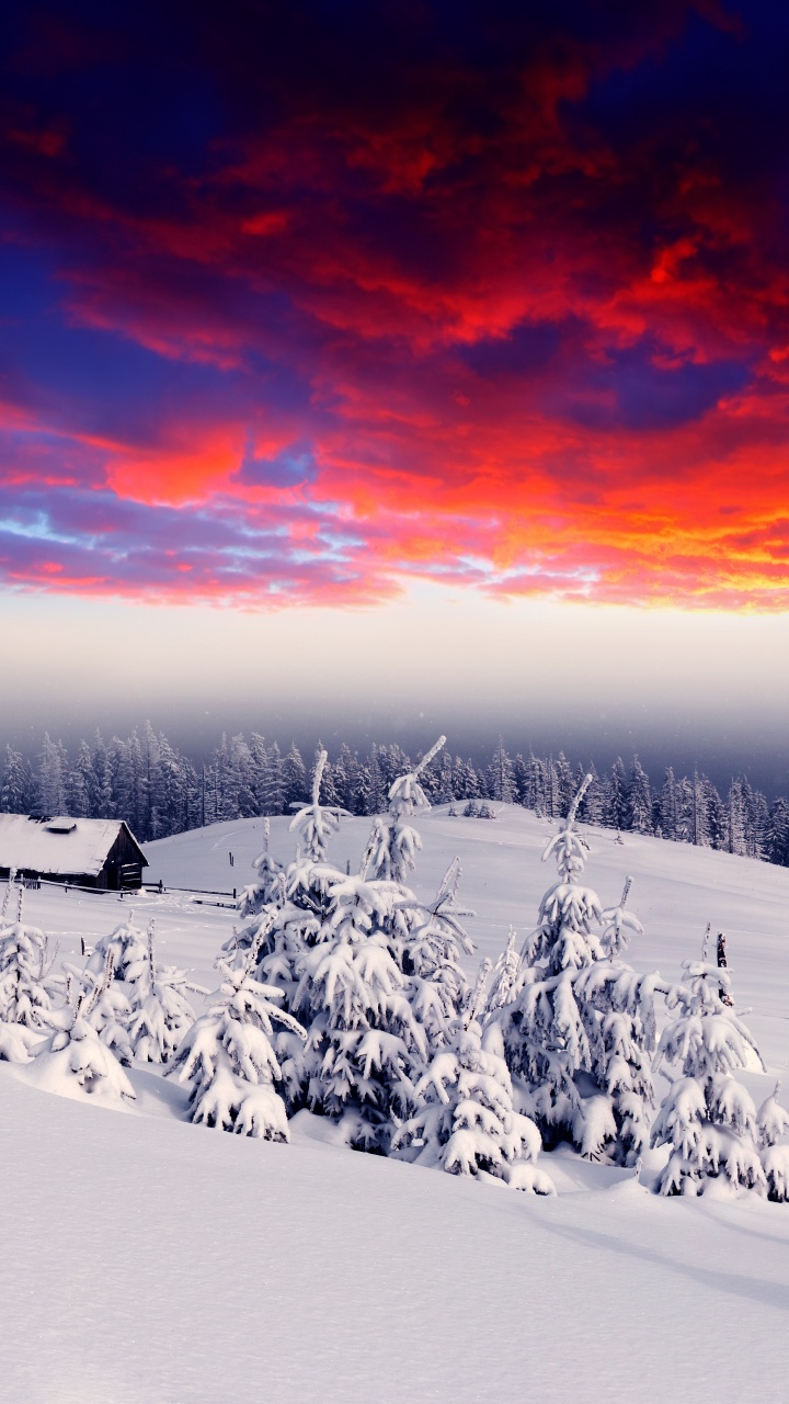 Обои снег, зима, природа, облако, замораживание в разрешении 720x1280