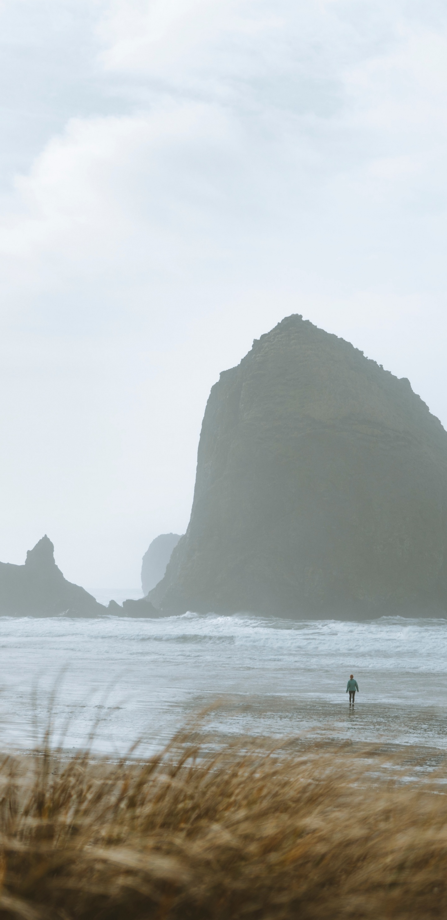 Обои Хейстек Рок, побережье, море, рок, семейство травы в разрешении 1440x2960