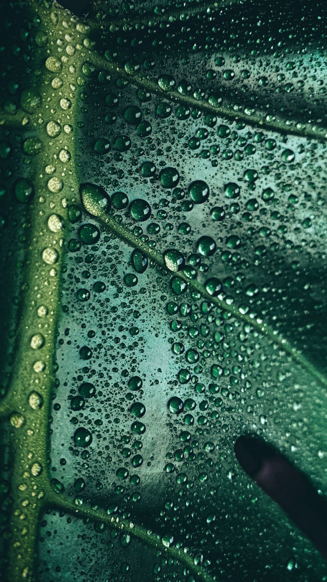 Обои подземные воды, вода, гидроресурсы, биология, наука в разрешении 1080x1920