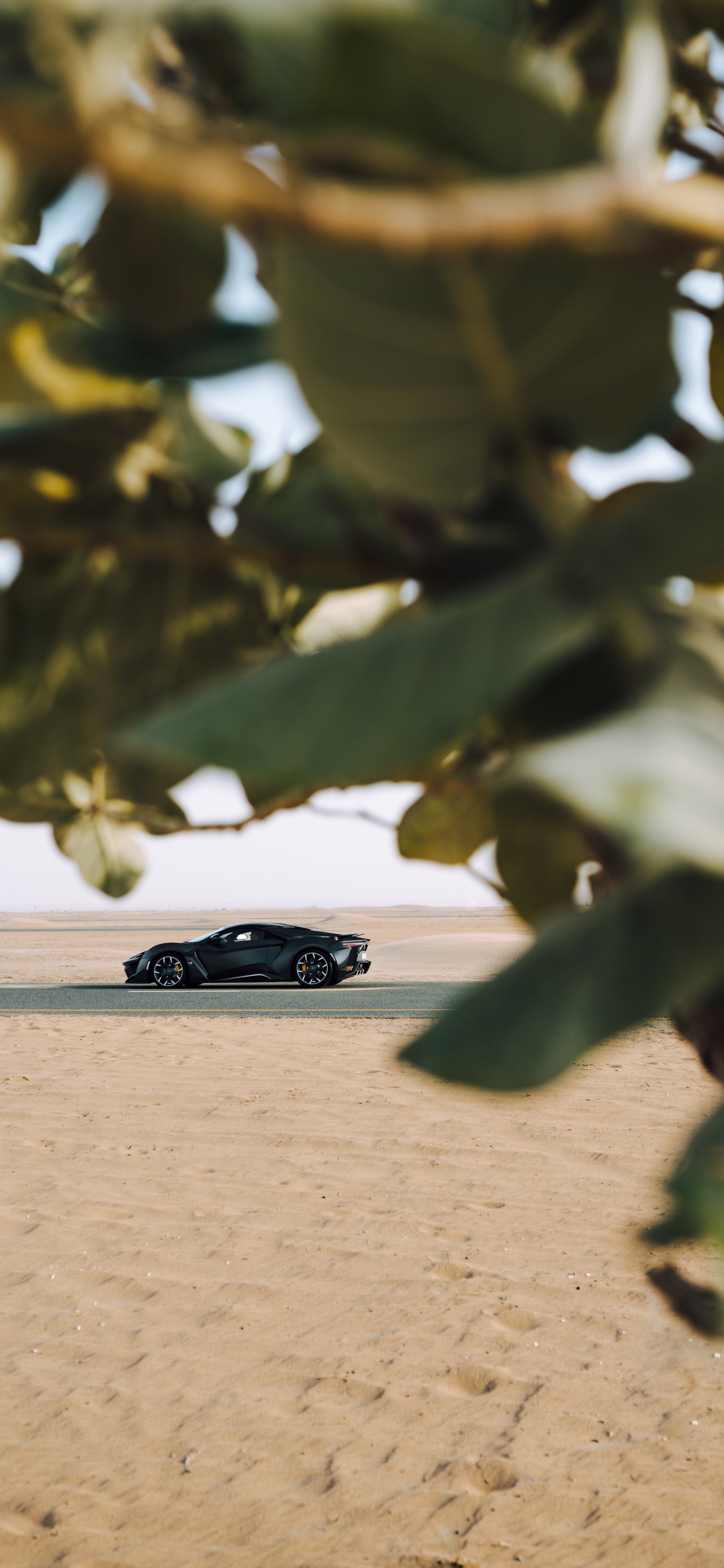 Обои спорткар, авто, суперкар, автомобиль, обод в разрешении 1242x2688