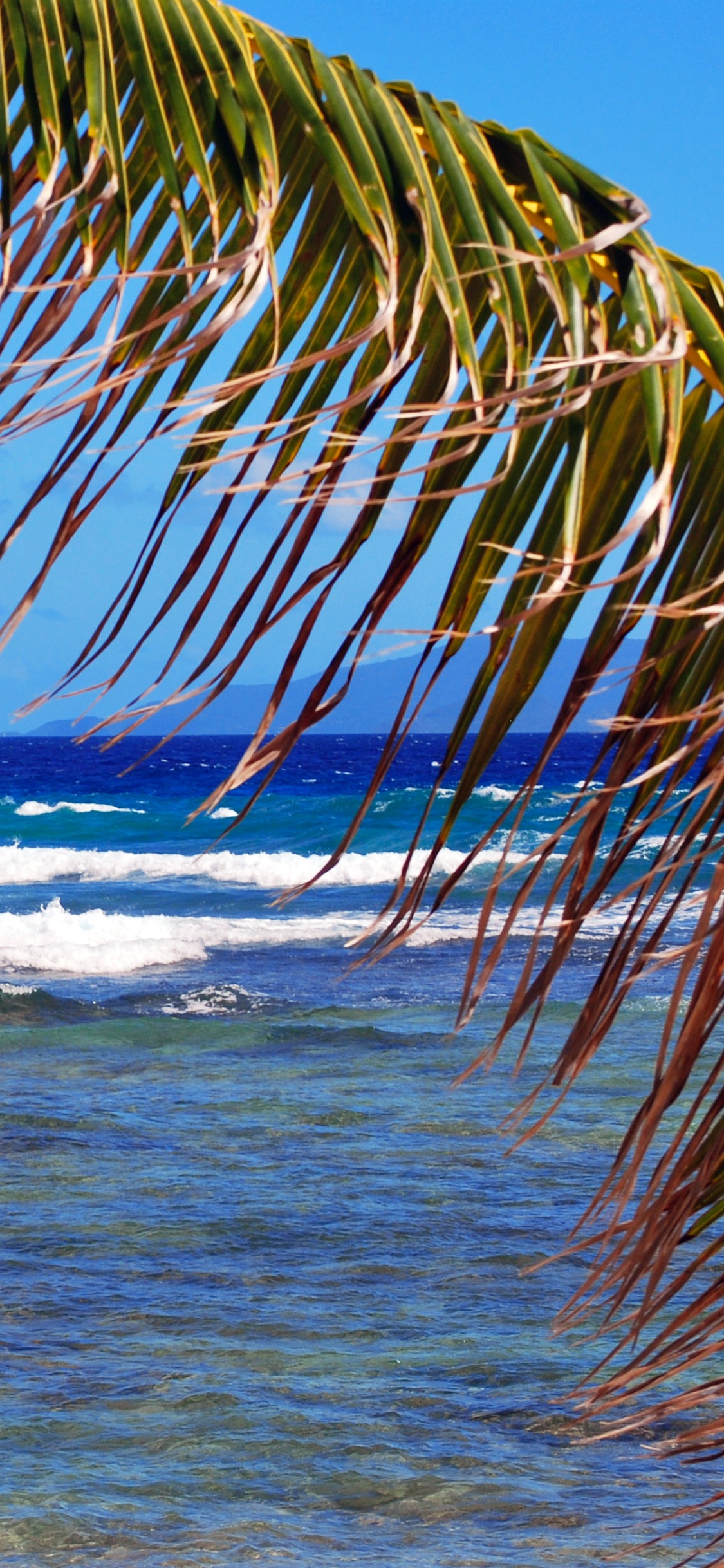 Обои море, тропическая зона, океан, пляж, Карибский бассейн в разрешении 1125x2436