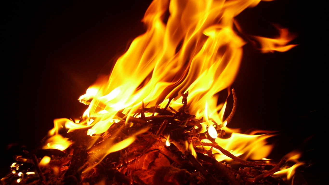 Обои огонь, пламя, тепло, костер, музыка в разрешении 1366x768
