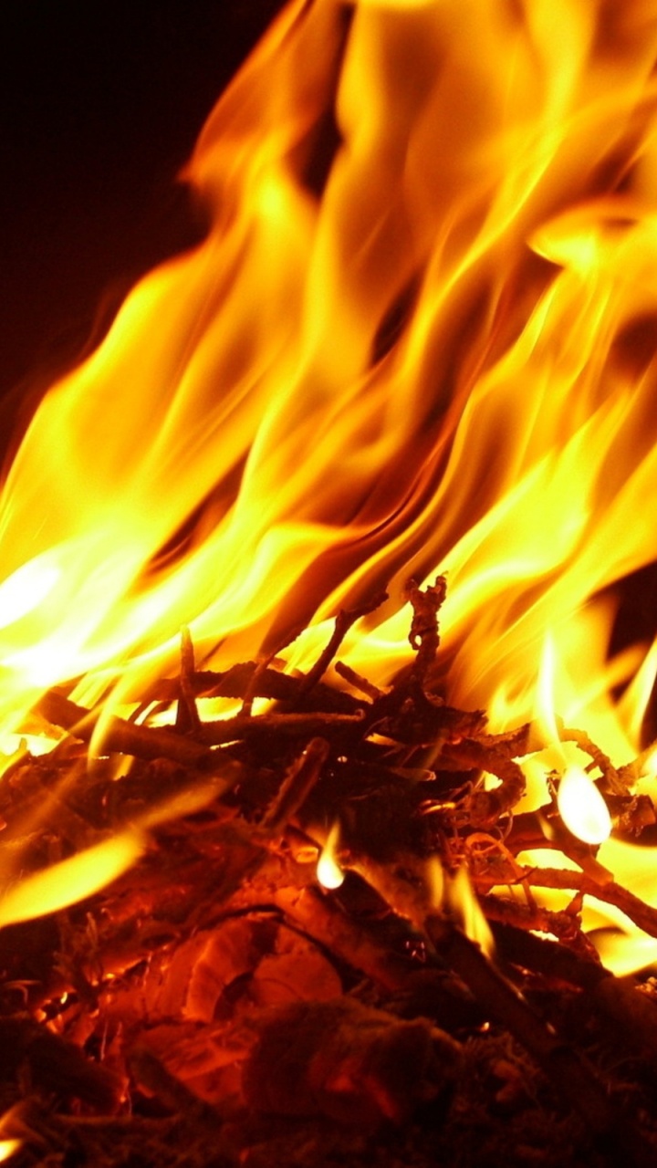 Обои огонь, пламя, тепло, костер, музыка в разрешении 720x1280