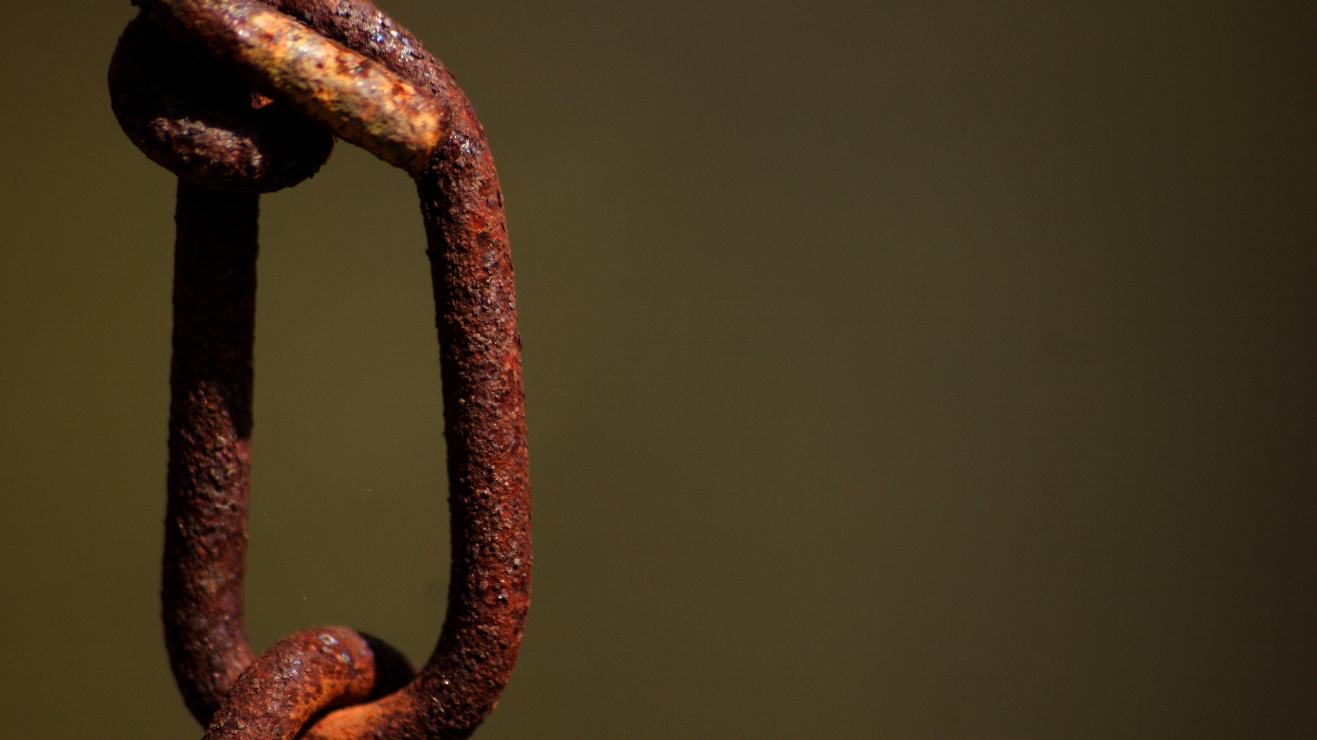 Обои ржавчина, металл, цепь, змей, коррозия в разрешении 2560x1440