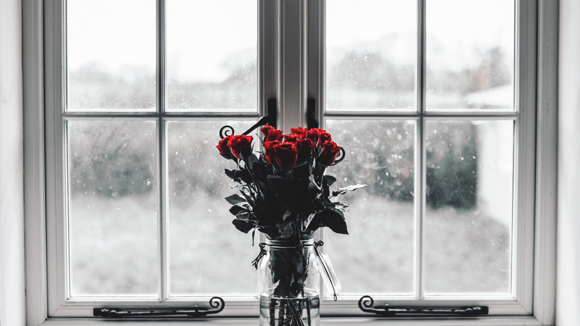 Обои белые, красный цвет, окно, цветок, стекло в разрешении 1920x1080
