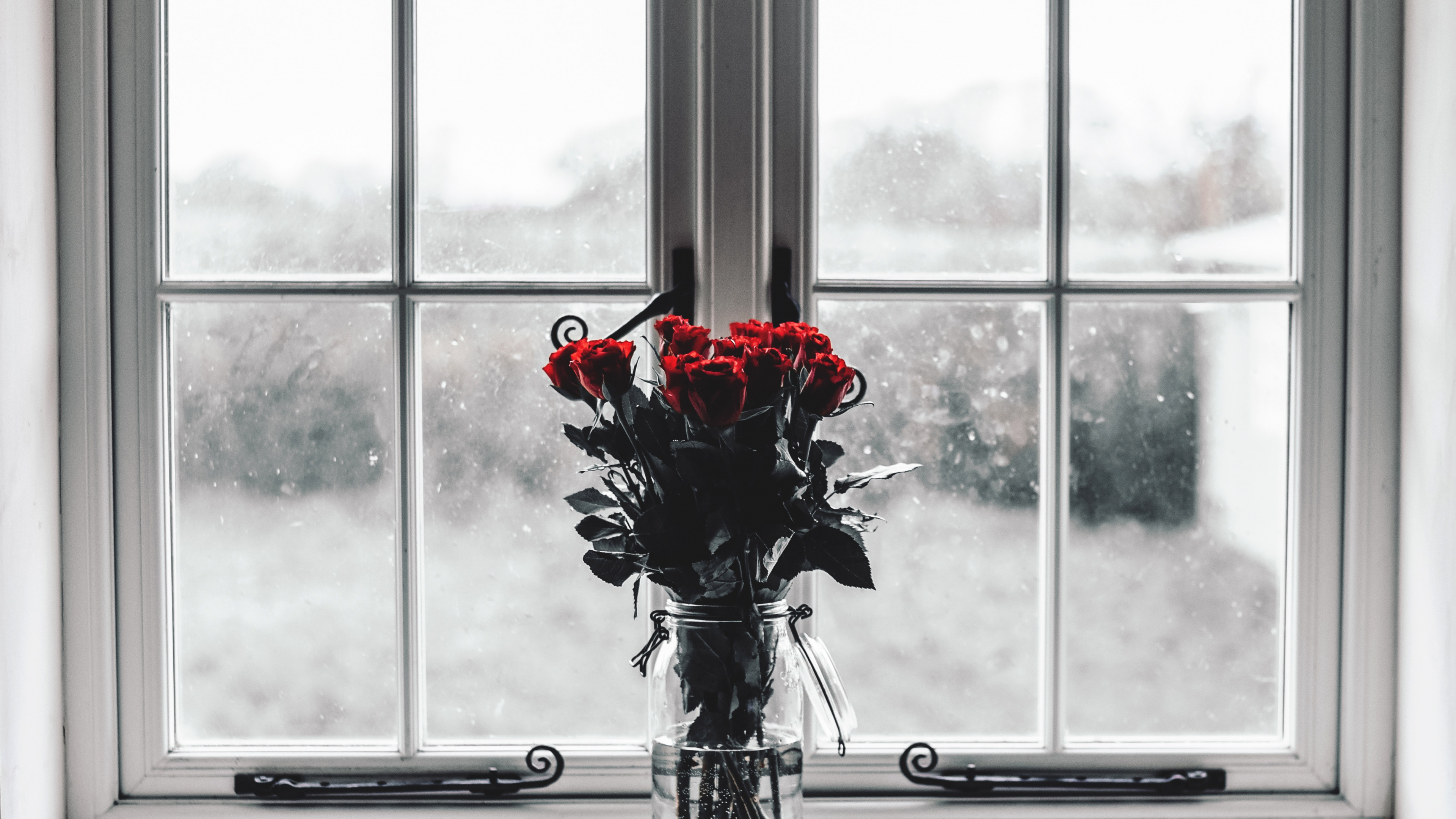 Обои белые, красный цвет, окно, цветок, стекло в разрешении 3840x2160
