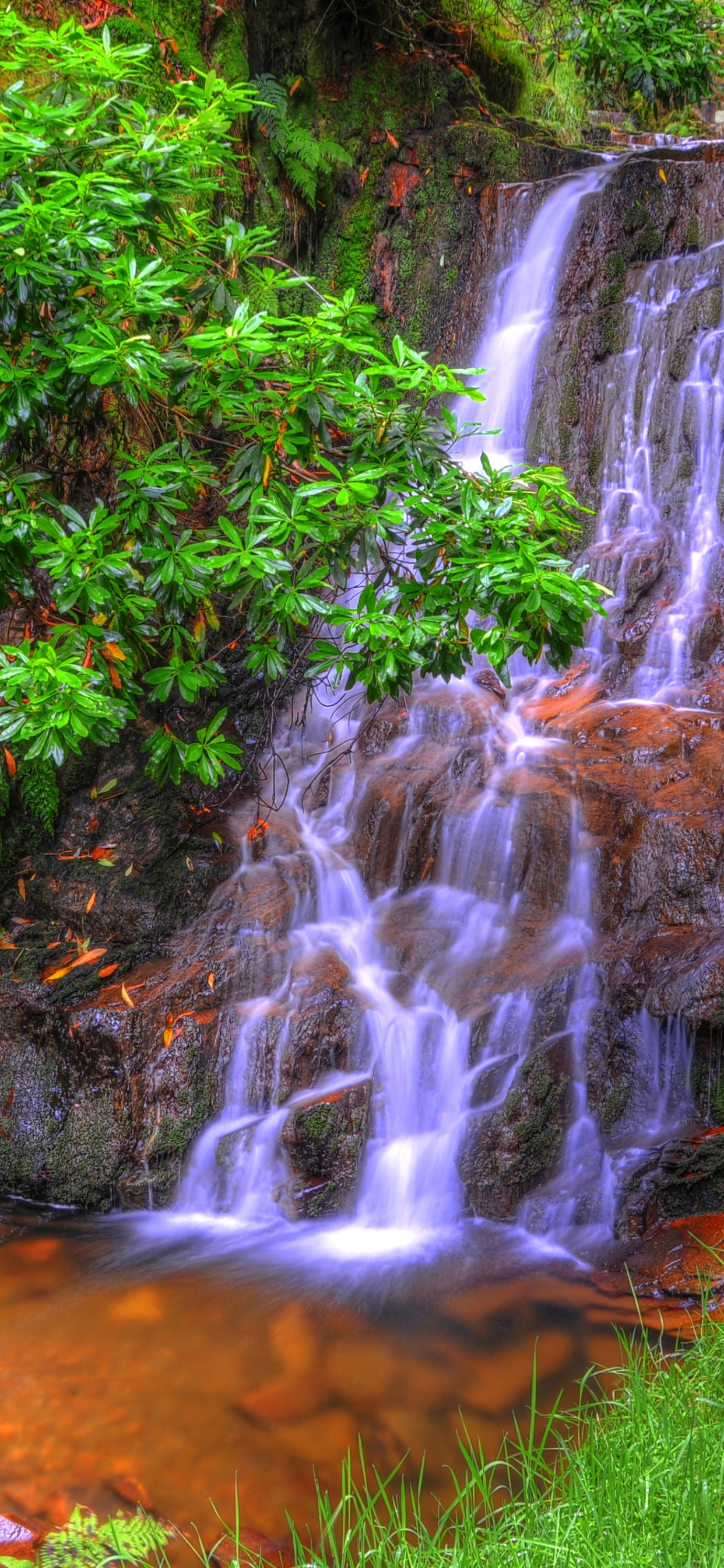 Обои водопад, гидроресурсы, водоем, природа, растительность в разрешении 1242x2688