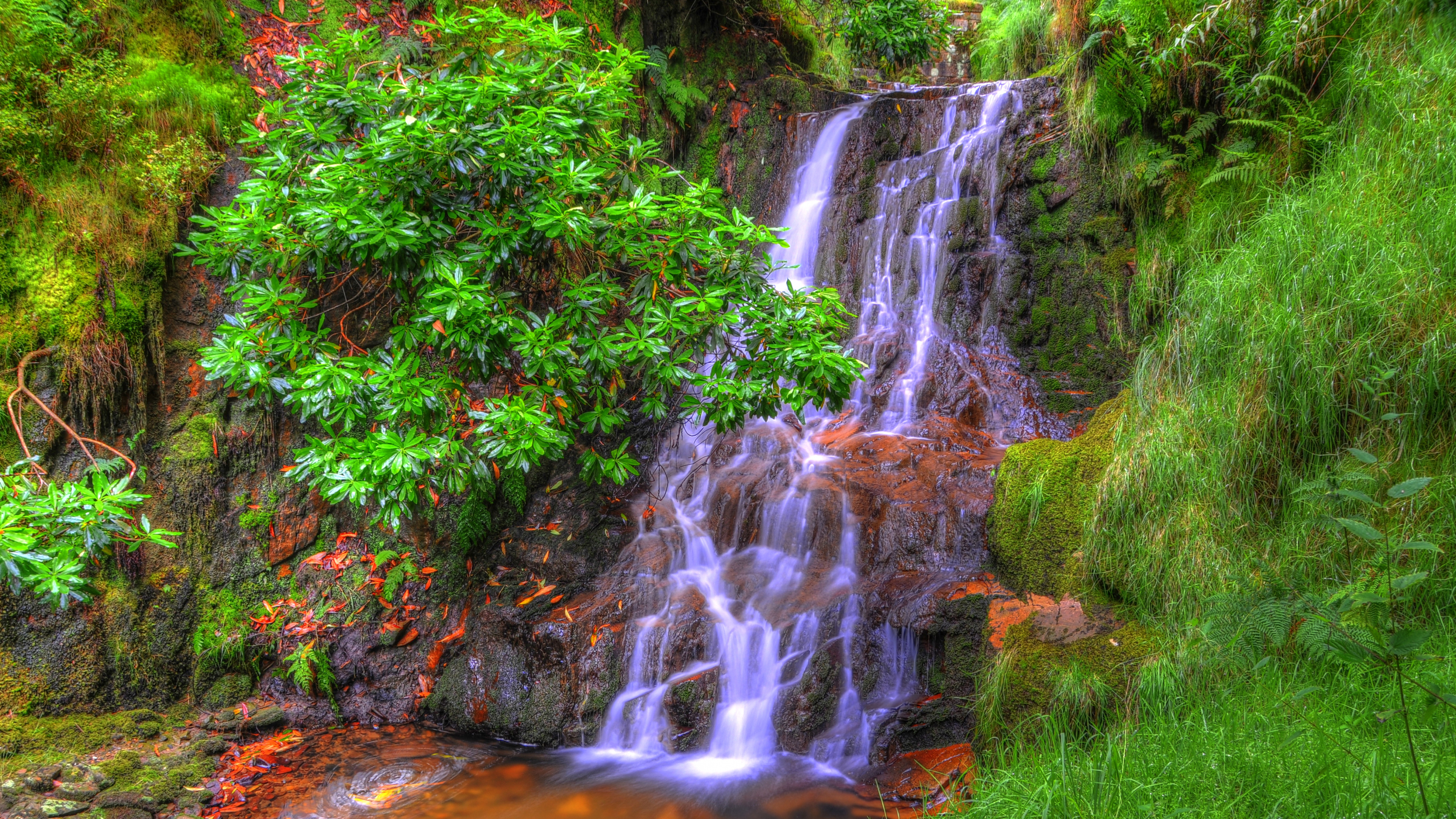 Обои водопад, гидроресурсы, водоем, природа, растительность в разрешении 3840x2160