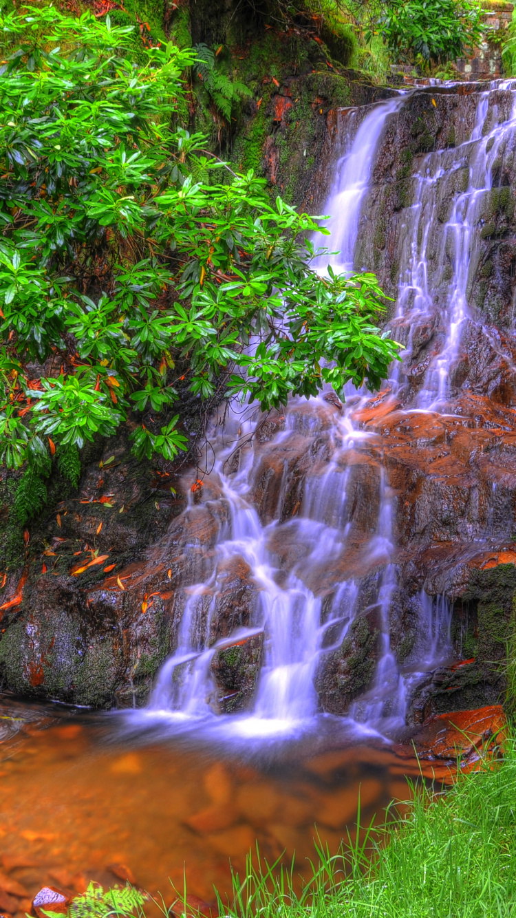 Обои водопад, гидроресурсы, водоем, природа, растительность в разрешении 750x1334