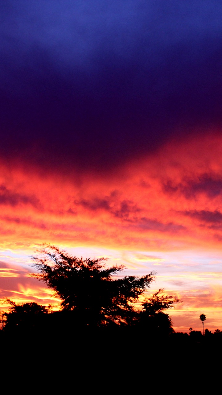 Обои закат, послесвечение, облако, восход солнца, горизонт в разрешении 720x1280