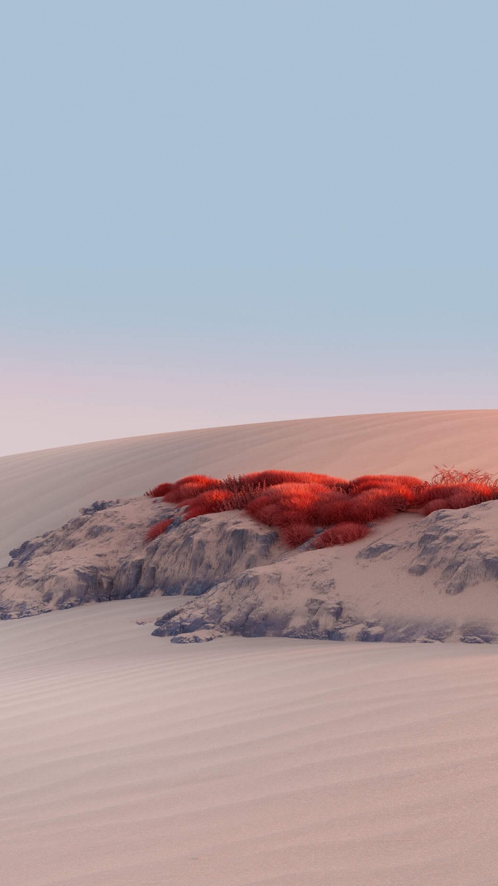 Обои Surface, Майкрософт, песок, окружающая среда, Дюна в разрешении 720x1280