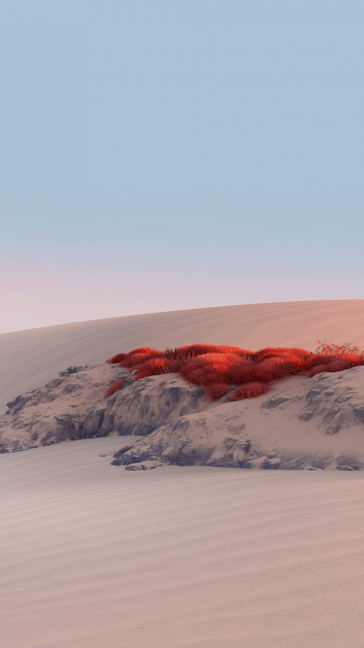 Обои Surface, Майкрософт, песок, окружающая среда, Дюна в разрешении 750x1334