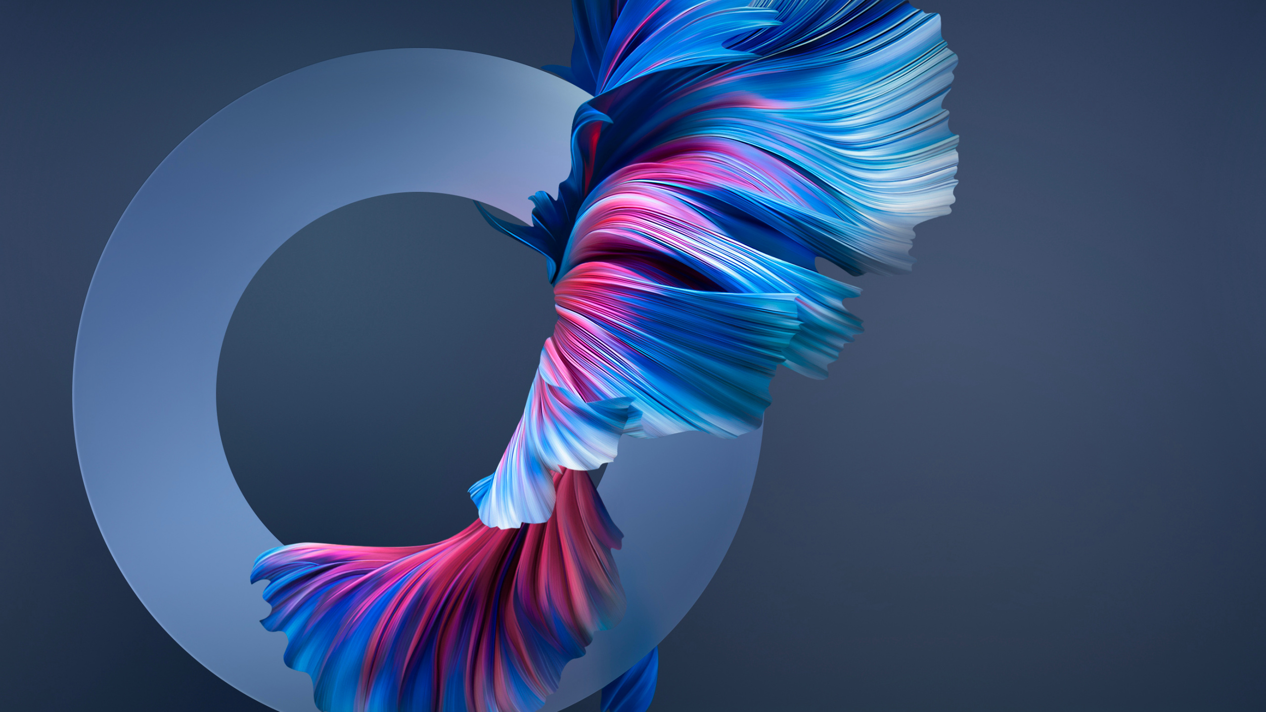 Обои Huawei, Huawei Mate, Huawei Mate 40 Pro, huawei mate 30, huawei mate 20 pro в разрешении 2560x1440