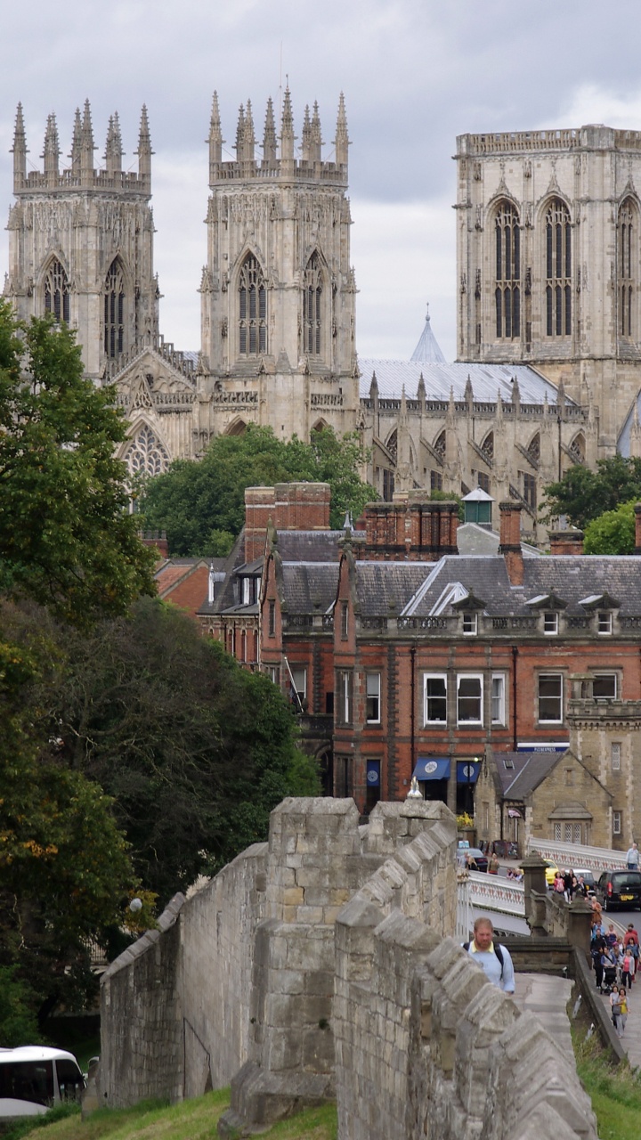 Обои здание, город, дерево, турпутевки, столица в разрешении 720x1280