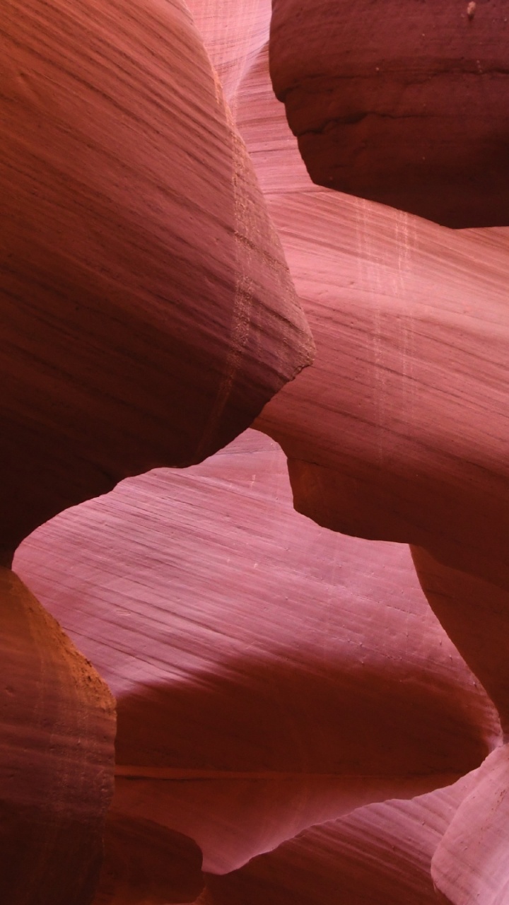 Обои каньон антилопы, Долина, каньон, лепесток, розовый в разрешении 720x1280