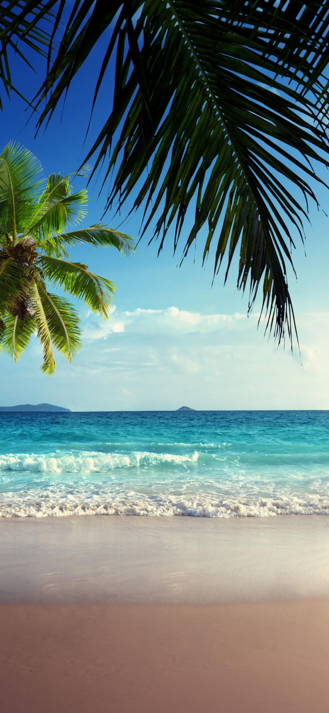 Обои эко парк, парк, природа, изумрудное озеро, вода в разрешении 1125x2436