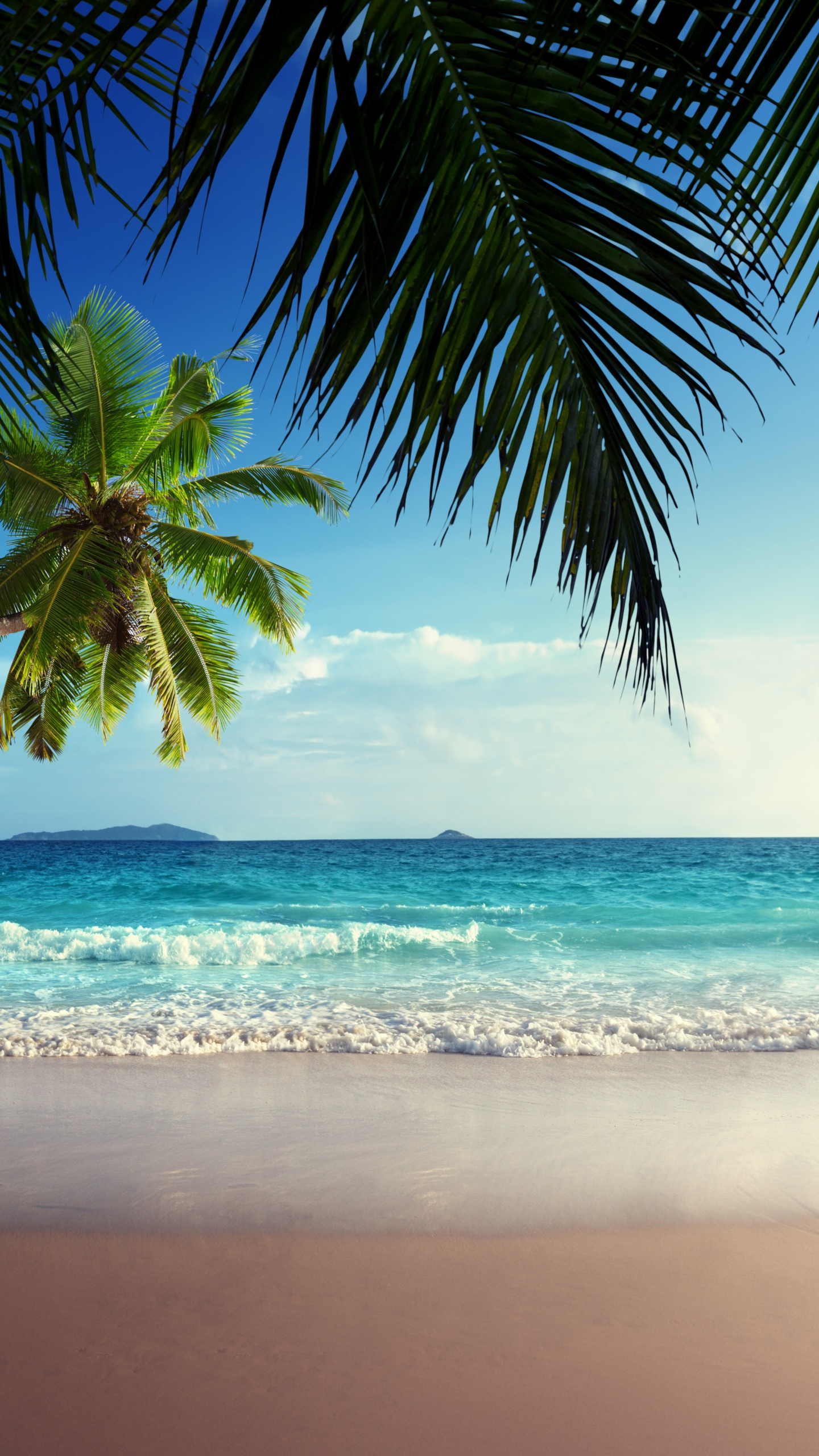 Обои эко парк, парк, природа, изумрудное озеро, вода в разрешении 1440x2560