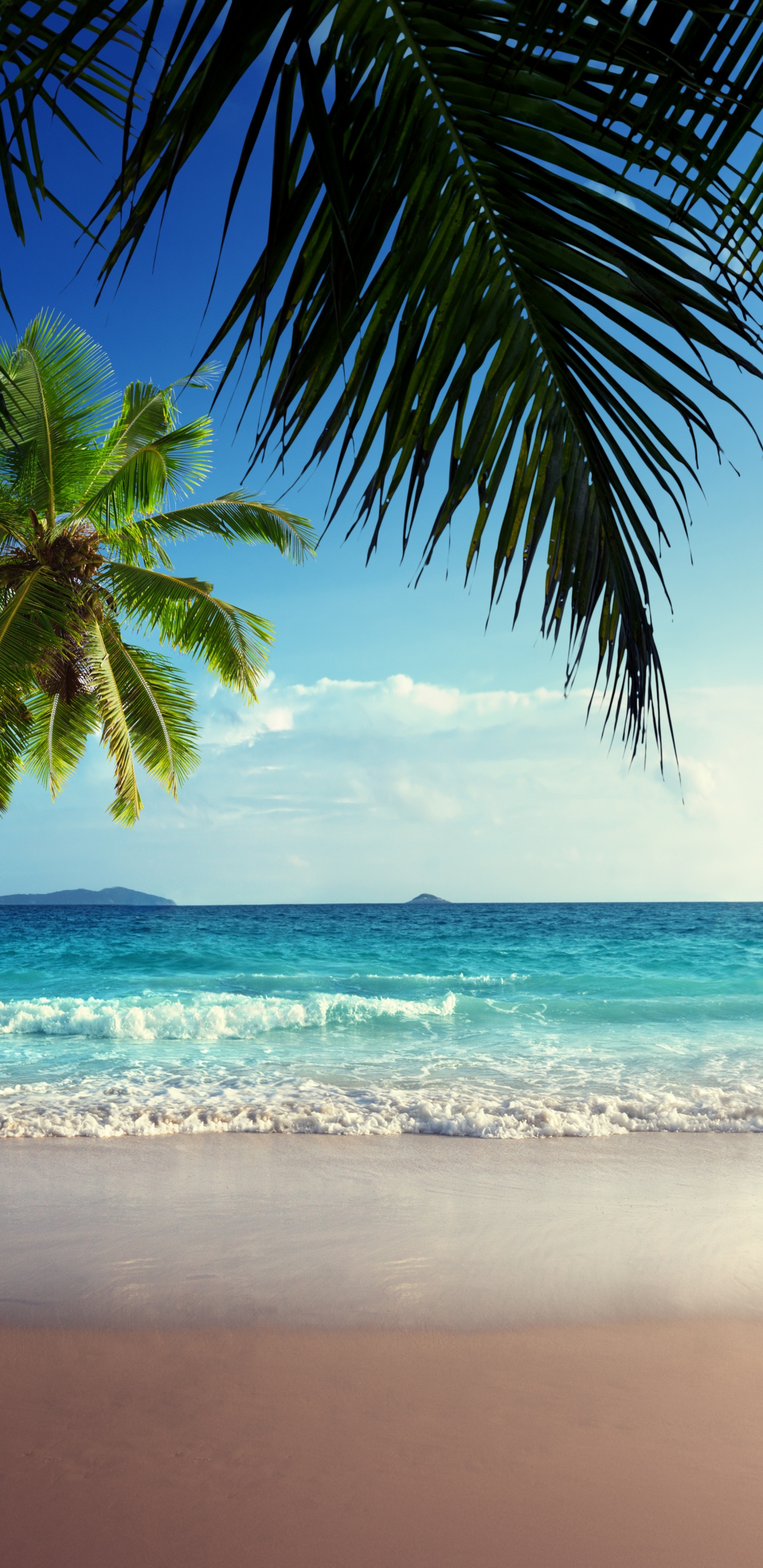 Обои эко парк, парк, природа, изумрудное озеро, вода в разрешении 1440x2960