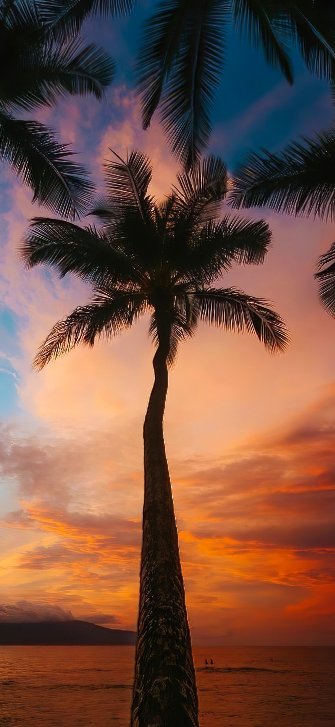 Обои облако, атмосфера, дневное время, свет, растение в разрешении 1125x2436