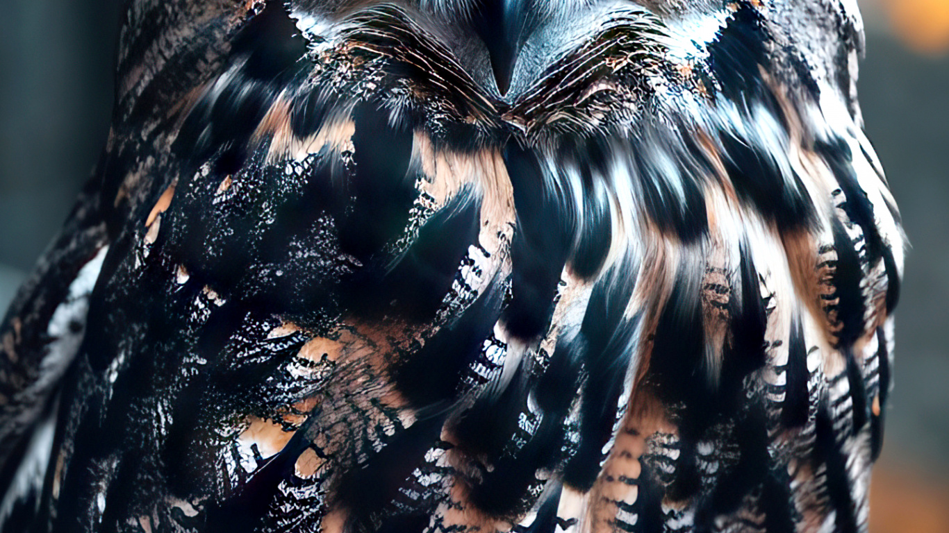 Обои сова, Восточной визг совы, Западная визг совы, большая рогатая сова, птица в разрешении 1366x768