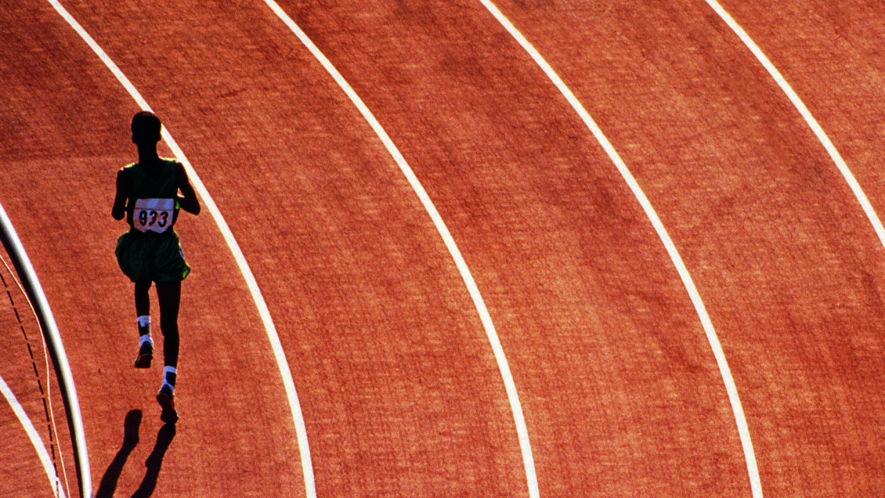 Обои спринт, древесина, линия, атлетика, бег в разрешении 1280x720