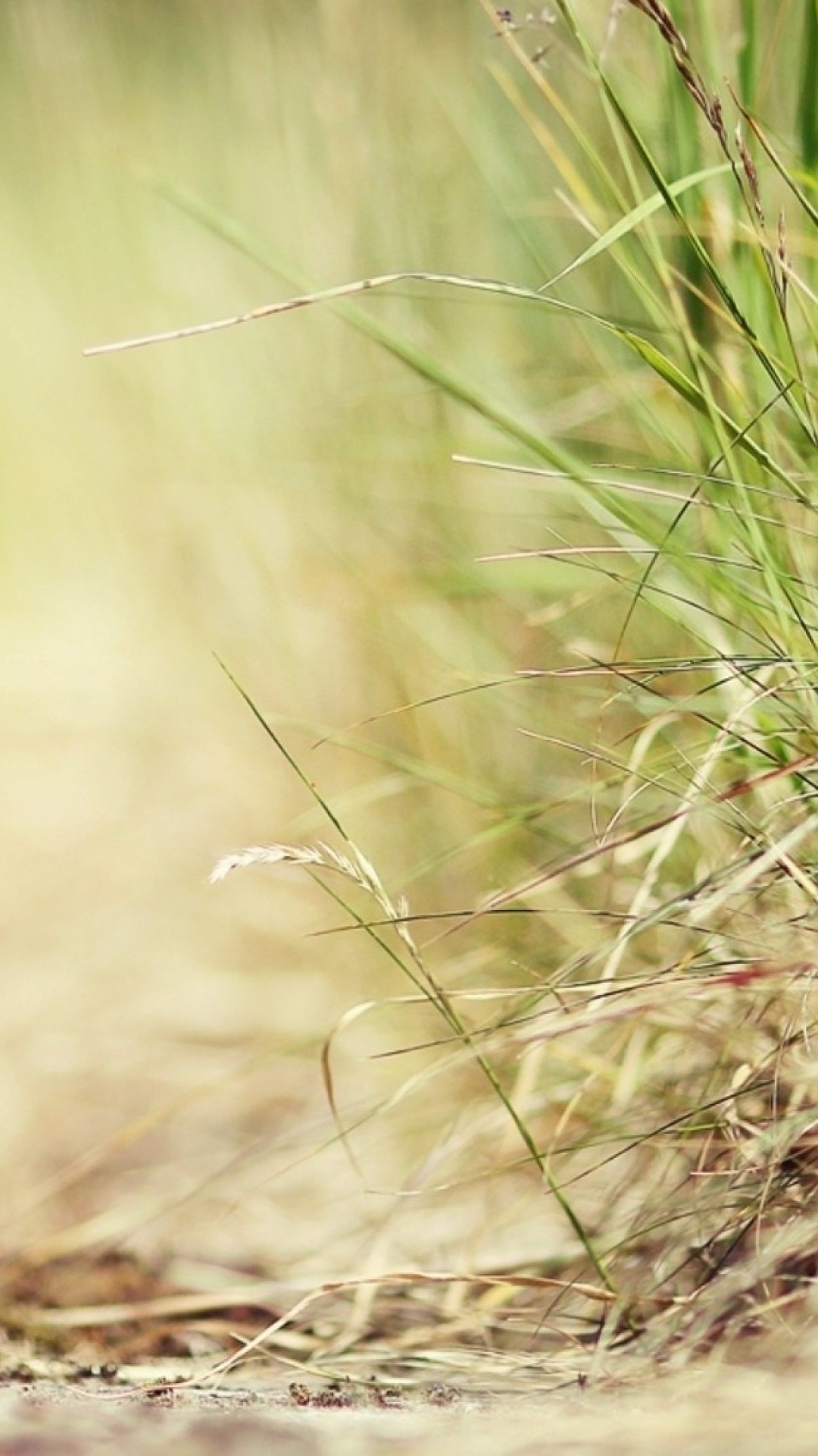 Обои газированные напитки, напиток, Кока-Кола, вода, стеклянная бутылка в разрешении 1080x1920