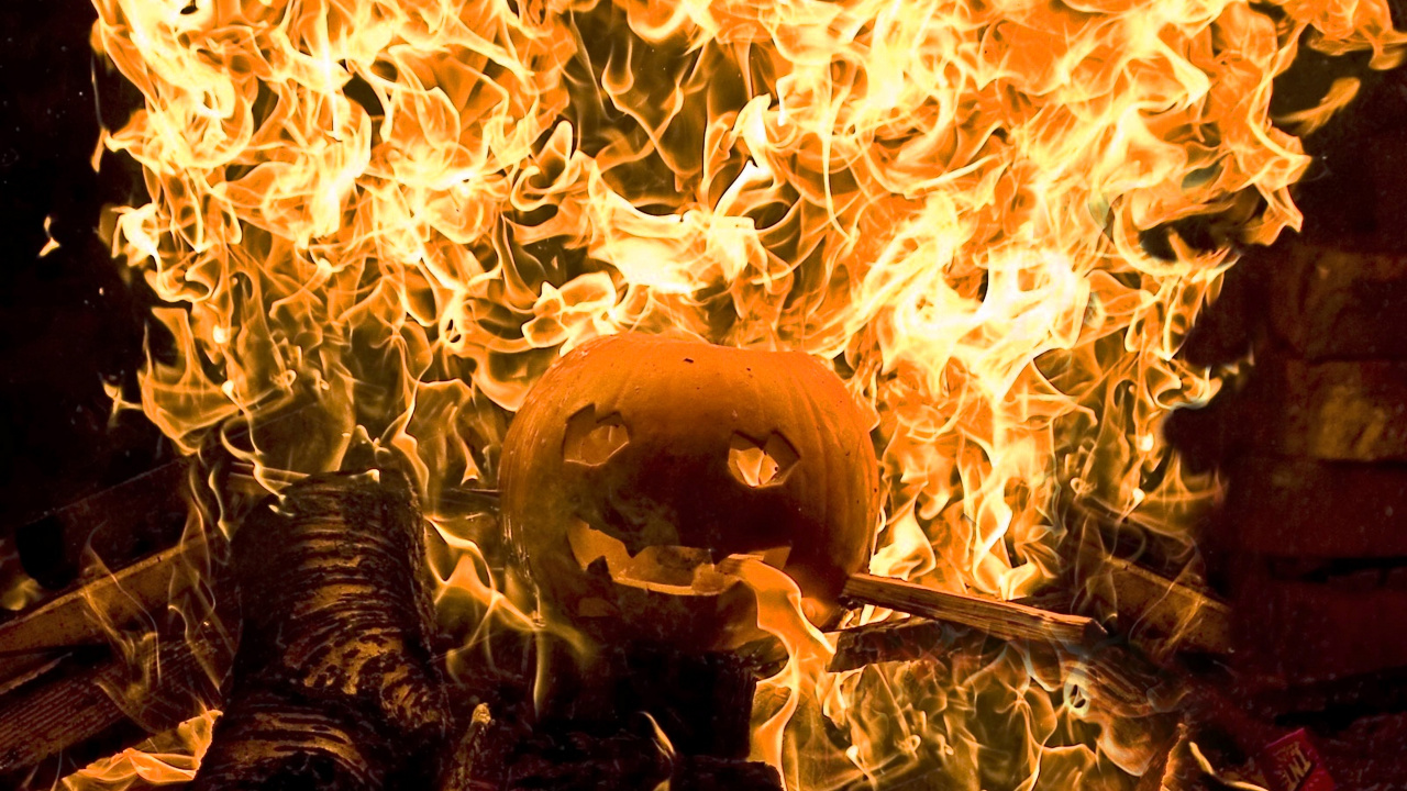 Обои пламя, огонь, тепло, microsoft windows, windows 10 в разрешении 1280x720