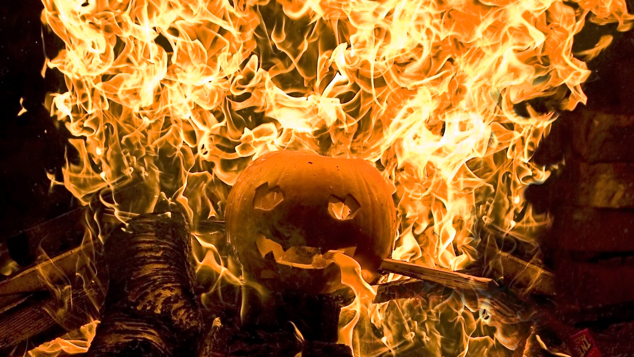 Обои пламя, огонь, тепло, microsoft windows, windows 10 в разрешении 2560x1440