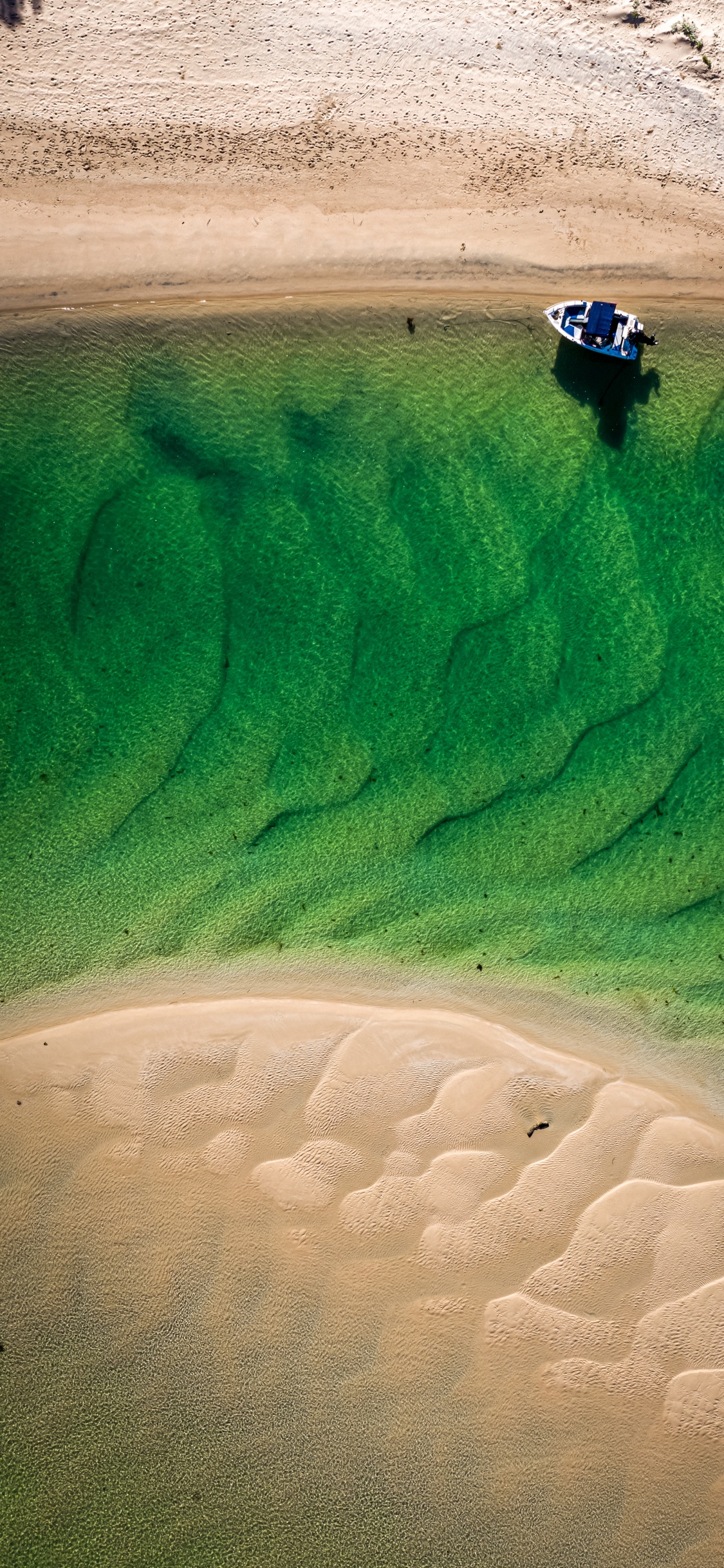 Обои песок, сенокосное угодье, экорегион, лазурный, водоем в разрешении 1125x2436