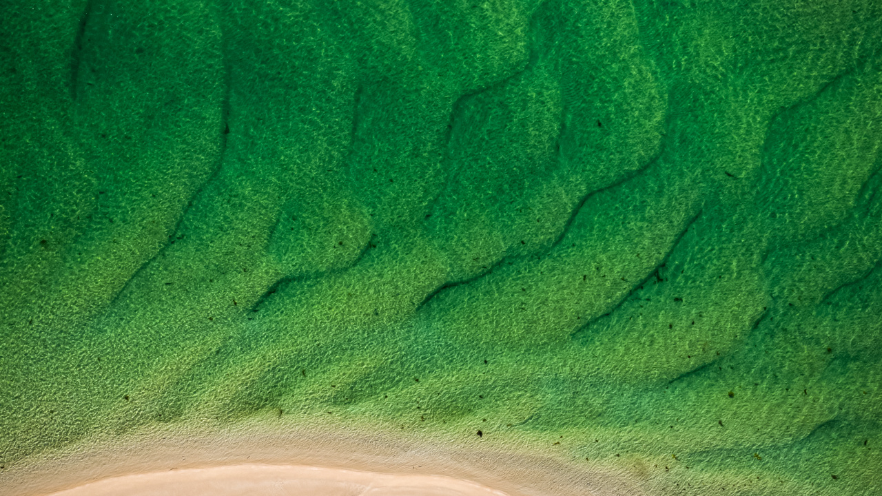 Обои песок, сенокосное угодье, экорегион, лазурный, водоем в разрешении 1280x720