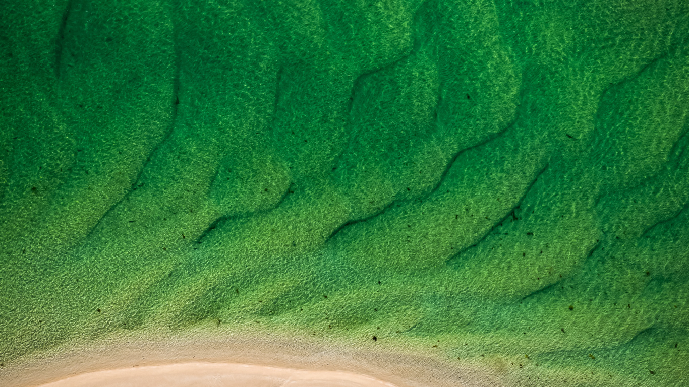 Обои песок, сенокосное угодье, экорегион, лазурный, водоем в разрешении 1366x768