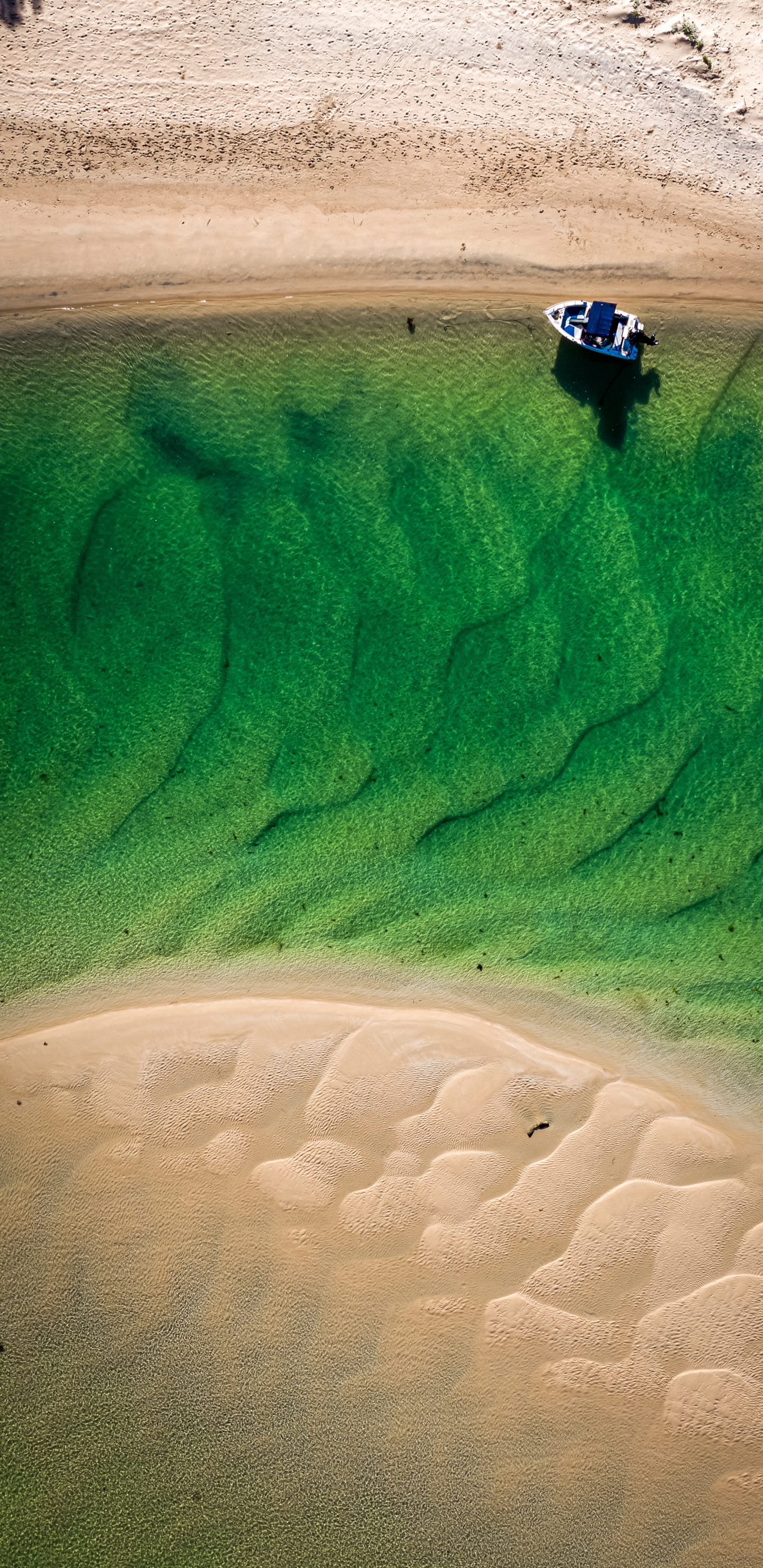 Обои песок, сенокосное угодье, экорегион, лазурный, водоем в разрешении 1440x2960